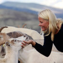 Kronprinsesse Mette-Marit med geitene på fjelltoppen Pika (Foto: Lise Åserud / Scanpix)